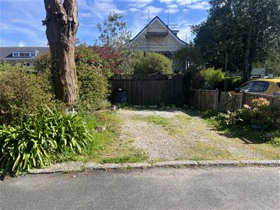Picture 15